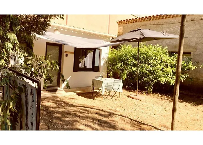 Superbe Boheme Dans Les Vignes * Ним